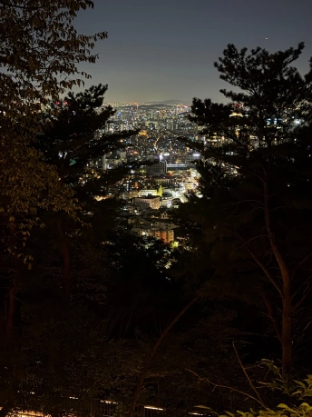 木々の間からのぞくソウル市街の夜景