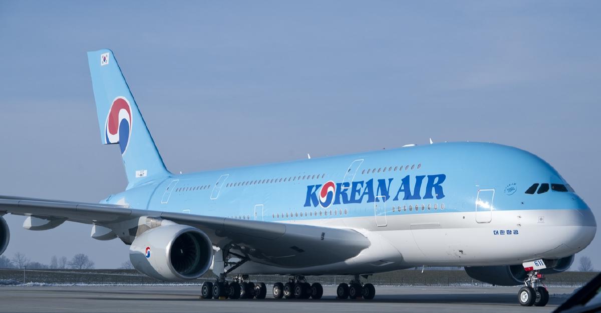「来月、日本の自由旅行が解除されるか」航空業界、日韓路線が続々増便