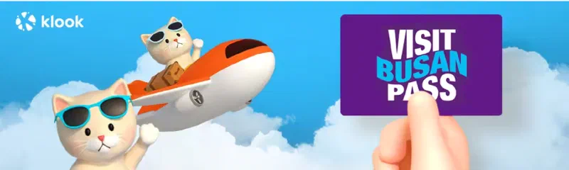 チェジュ航空CAオススメの釜山旅をご紹介♡