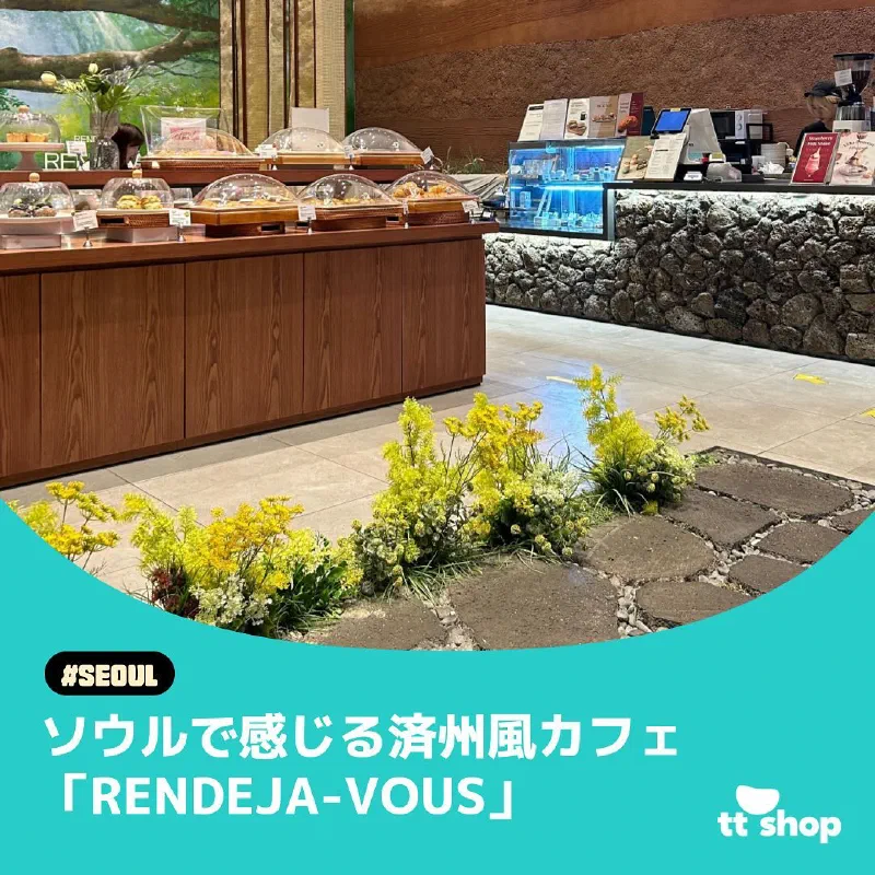 ランデジャビュの済州島をイメージしたおしゃれな店内、緑や石のインテリア